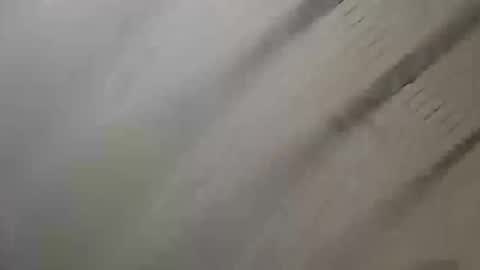 Sebastin online show from October 30, 11:00 am