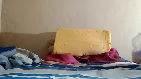 Sebastin online show from October 31, 10:16 am