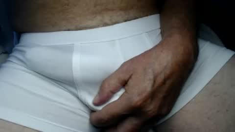 el gato lusty online show from July 30, 11:20 am