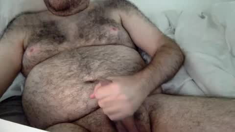 elabear online show from August 2, 4:16 pm