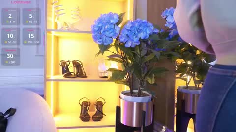 Elasummeer online show from November 10, 11:53 am