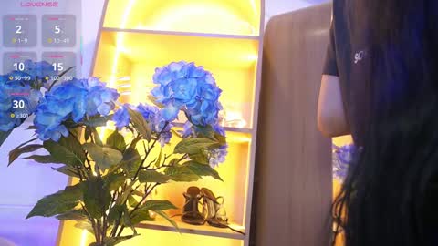 Elasummeer online show from November 25, 11:54 am