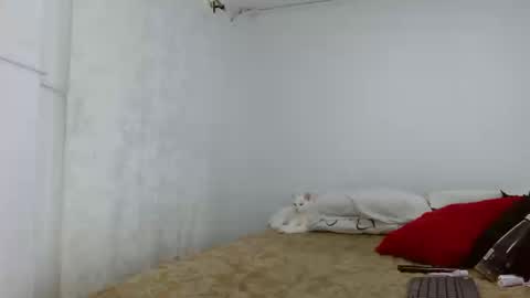 elektra online show from September 16, 4:24 am