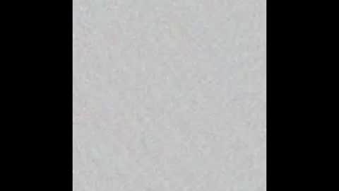 Snapshot of elephant_titus chatting on January 20, 11:02 am elephant_titus online show from January 20, 11:02 am