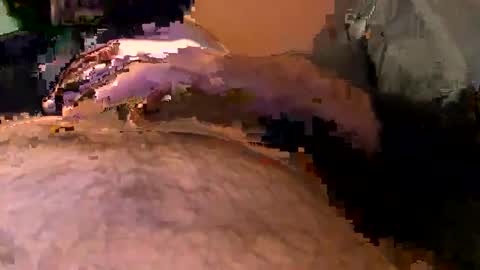 Snapshot of elgato66699 chatting on April 20, 4:59 am elgato66699 online show from April 20, 4:59 am