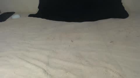 elgsslt online show from October 21, 12:00 am