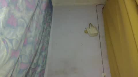 Snapshot of elina981 chatting on April 5, 5:10 pm elina981 online show from April 5, 5:10 pm