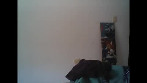 Rod online show from November 2, 12:07 pm