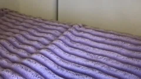 eliterd online show from November 13, 3:16 am