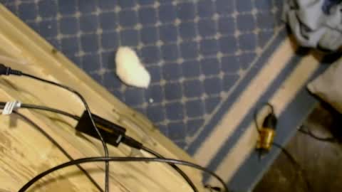 Snapshot of elizabeth_aron chatting on March 29, 8:03 am elizabeth_aron online show from March 29, 8:03 am