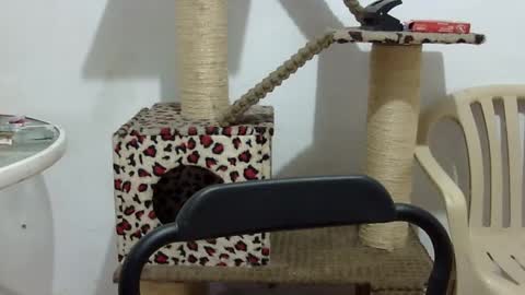 Elizabeth Martinez  online show from September 16, 2:51 pm