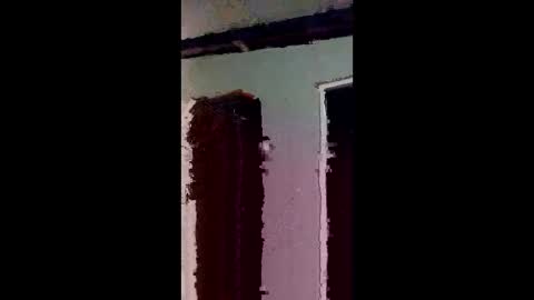 elizabit online show from March 4, 9:26 am