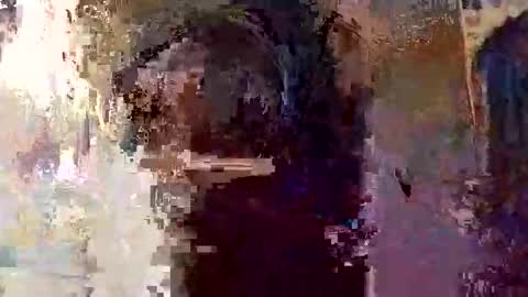 elizabit online show from April 5, 9:28 am