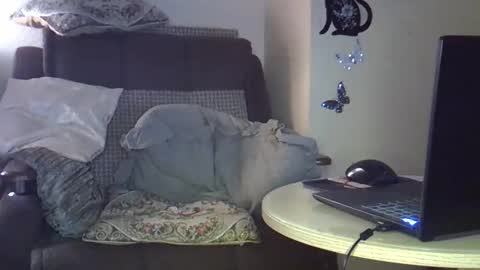 Snapshot of ellajohnsonx chatting on March 15, 9:32 pm ellajohnsonx online show from March 15, 9:32 pm