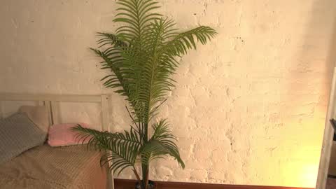 elliefrost online show from March 11, 3:26 am