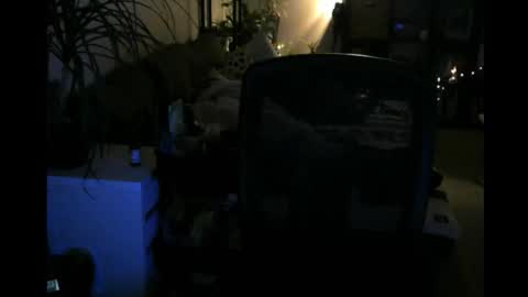 Snapshot of elmetatepeta chatting on March 9, 2:48 am ElMetaTeDa online show from March 9, 2:48 am