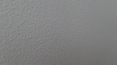 Snapshot of elosocazador chatting on December 13, 7:43 pm elosocazador online show from December 13, 7:43 pm