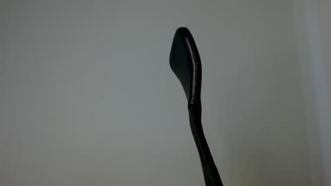 Snapshot of elosocazador chatting on October 10, 7:13 pm elosocazador online show from October 10, 7:13 pm