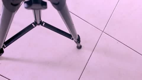 emily_castillo1_ online show from November 18, 3:23 am