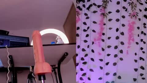 Snapshot of emily_montoya chatting on January 26, 10:24 pm Emily online show from January 26, 10:24 pm