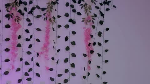 Snapshot of emily_montoya chatting on January 30, 2:38 am Emily online show from January 30, 2:38 am