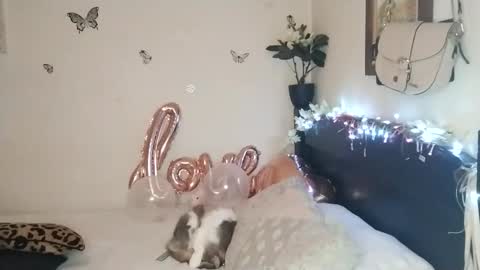 Snapshot of emilywhitee_ chatting on November 25, 2:33 am Valentina independent model online show from November 25, 2:33 am