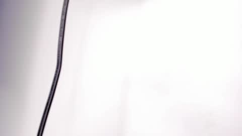 Alice online show from March 27, 10:59 am