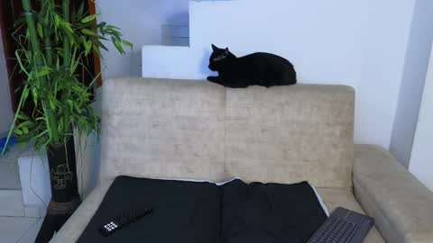 Emma Blue  modelo independiente online show from March 26, 3:12 am