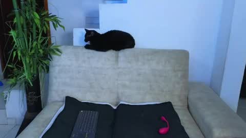 Emma Blue  modelo independiente online show from April 23, 3:08 am