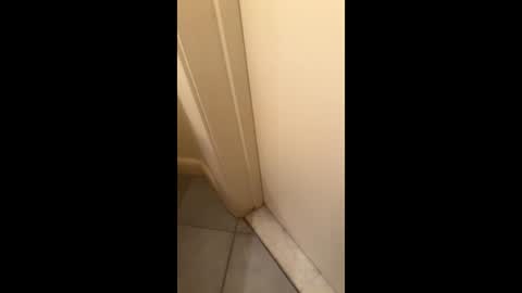 emoney04 online show from January 13, 12:05 am