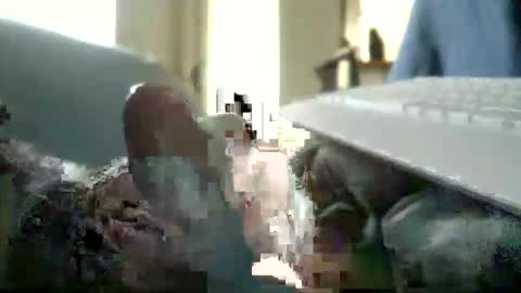 encormoi online show from November 11, 8:47 am