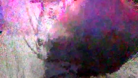 Snapshot of enjooythenut chatting on January 18, 2:33 pm Batman online show from January 18, 2:33 pm