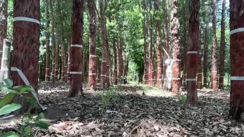 Snapshot of enjoythetrip chatting on November 26, 1:45 pm Luke online show from November 26, 1:45 pm