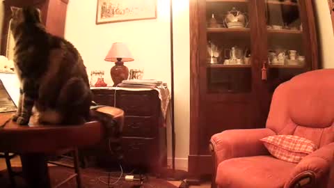 Steph et Eric online show from November 26, 10:05 am