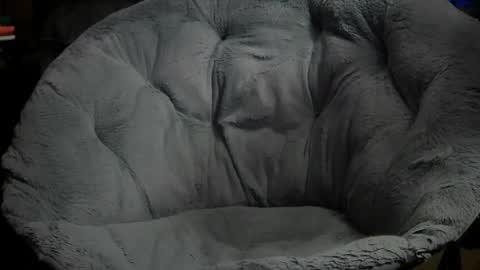 Erik plays hockey online show from November 11, 10:21 pm