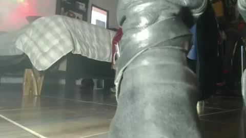 Eskela911 online show from October 6, 7:44 pm