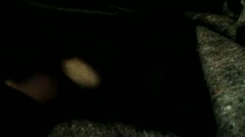 Snapshot of estelarseiya chatting on January 4, 3:18 am estelarseiya online show from January 4, 3:18 am