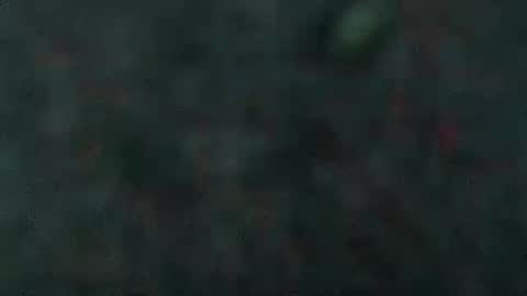 Snapshot of estelarseiya chatting on February 5, 7:07 am estelarseiya online show from February 5, 7:07 am