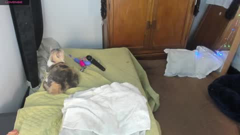 - E S T R E L L A  M I L F - online show from January 7, 4:50 am