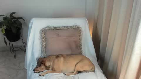 - E S T R E L L A  M I L F - online show from October 6, 4:10 am