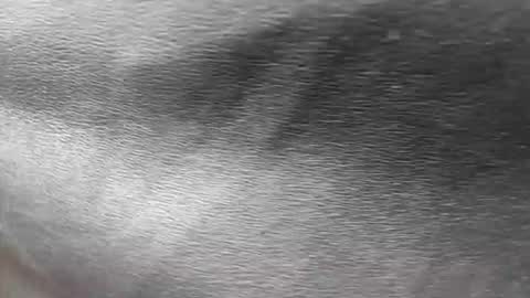 Snapshot of ethan_anavrin chatting on November 30, 6:56 pm greetings sergi online show from November 30, 6:56 pm