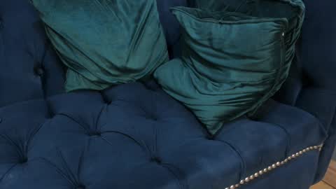 Snapshot of ethan_fox11 chatting on January 4, 5:26 pm King Ethan online show from January 4, 5:26 pm