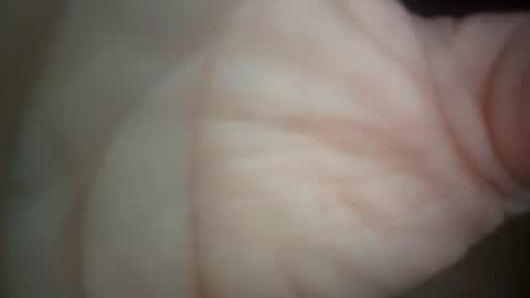 ethereumumm online show from October 30, 2:18 pm