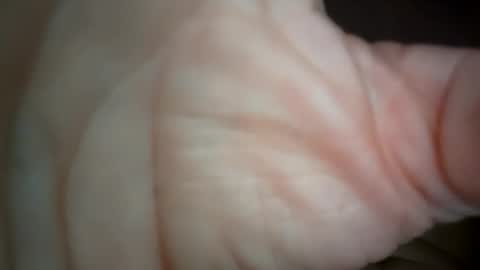 ethereumumm online show from October 31, 6:31 pm