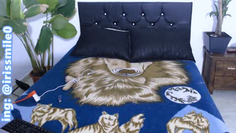 Snapshot of eva_brooks1 chatting on December 20, 3:36 am Iris Smile independent model online show from December 20, 3:36 am