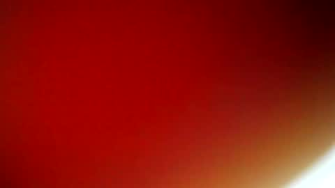 evangely online show from February 9, 11:36 am