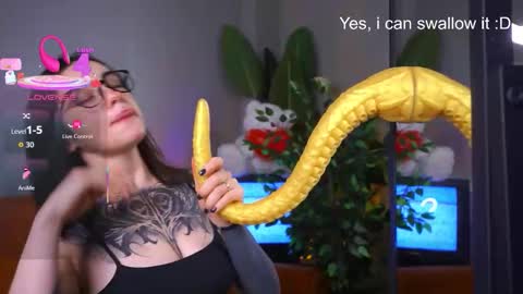 Eva online show from December 17, 3:12 am