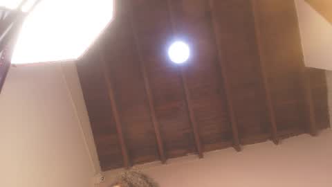 DAYANITA online show from June 10, 7:02 pm