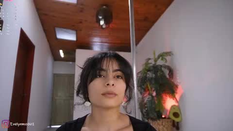 evelyn evelyn online show from June 11, 4:16 pm
