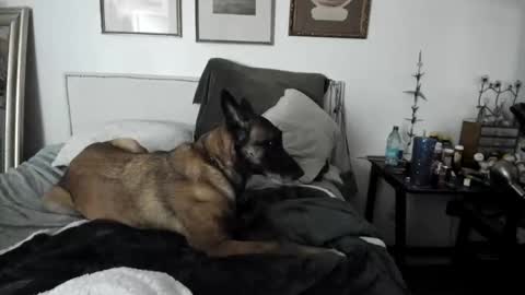 EV Parrish online show from February 2, 4:48 am